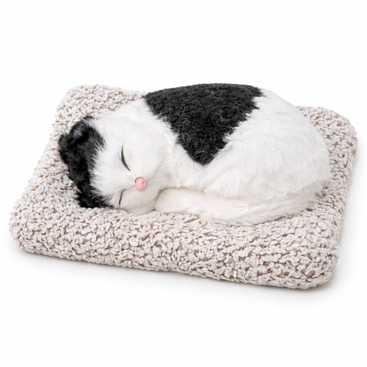 Black and White Sleeping Cat Plush Decor with Soft Mat – Cute Cozy Cat Ornament
