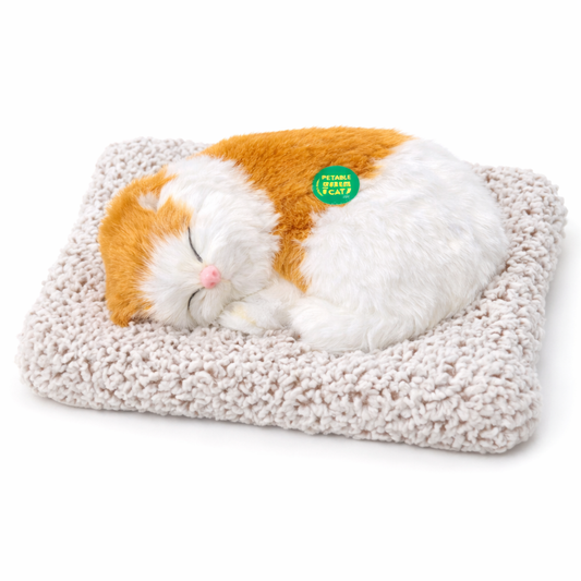 Sleeping Plush Cat Toy with Soft Cushion – Cute Realistic Cat Decor