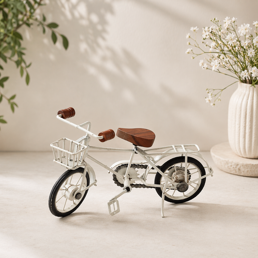 Vintage Tricycle Flower Planter – Rustic Metal Bicycle Basket Decor Showpiece